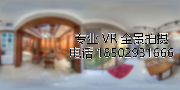 中兴镇VR全景技术在未来可能的发展方向和应用领域?